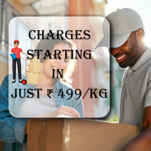 Cheapest And Best Affordable Price