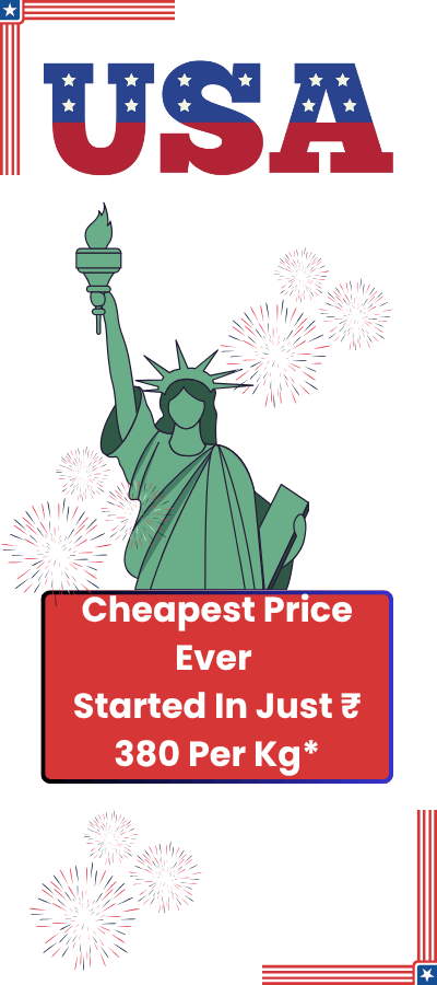 Courier Charges For USA