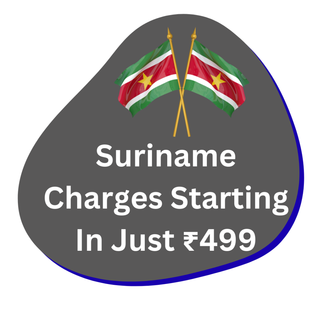 Affordable Shipping And Delivery Service Best Price 15