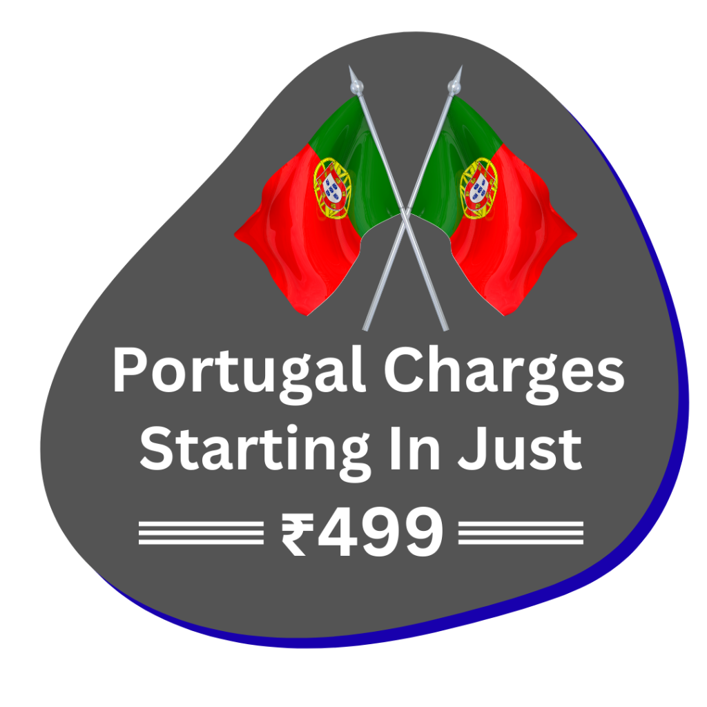 Best-Courier-Sloution-2