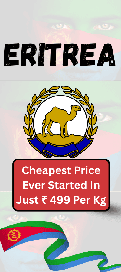 Cheapest And Affordable Courier Charges And Best 7