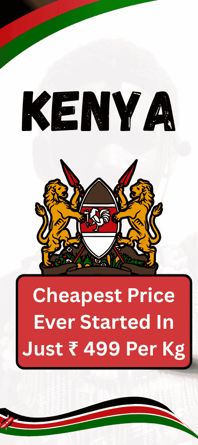 Economy Courier Delivery 11