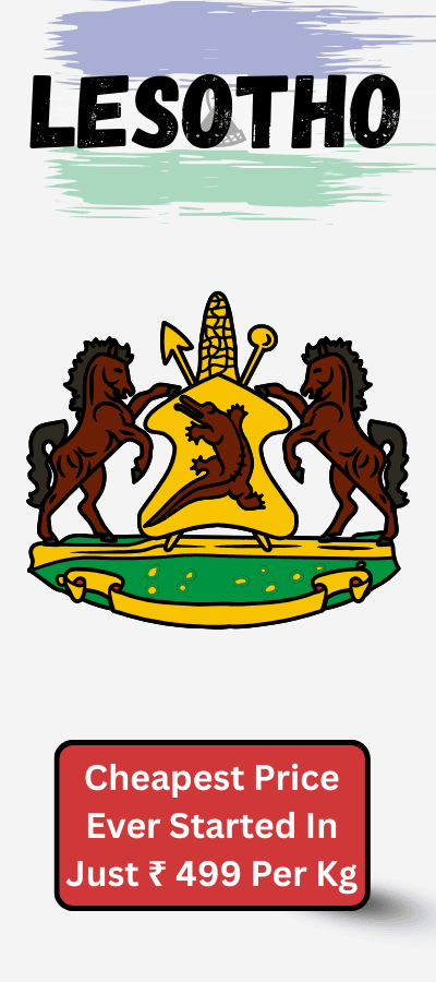 Economy-Courier-Delivery-9