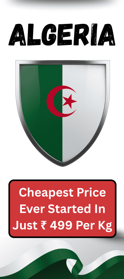 Fast-Courier-Service-8